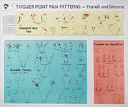 Travell and Simons Trigger Point Pain Patterns Wall Charts