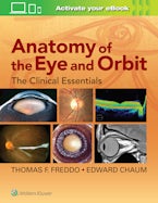 Anatomy of the Eye and Orbit
