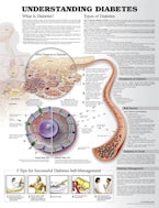 Understanding Diabetes Anatomical Chart