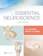 Essential Neuroscience