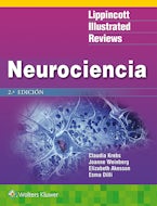 LIR. Neurociencia