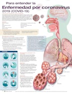 Para entender la Enfermedad por coronavirus 2019 (COVID-19)